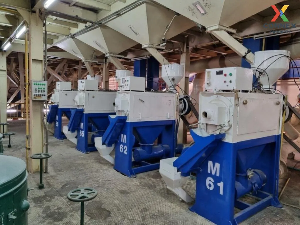 ขายโรงสีข้าว ขนาด 90 ไร่ หนองกระเจา ชุมแสง นครสวรรค์ CX-103558 ขายโรงสีข้าว ขนาด 90 ไร่ หนองกระเจา ชุมแสง นครสวรรค์ CX-103558