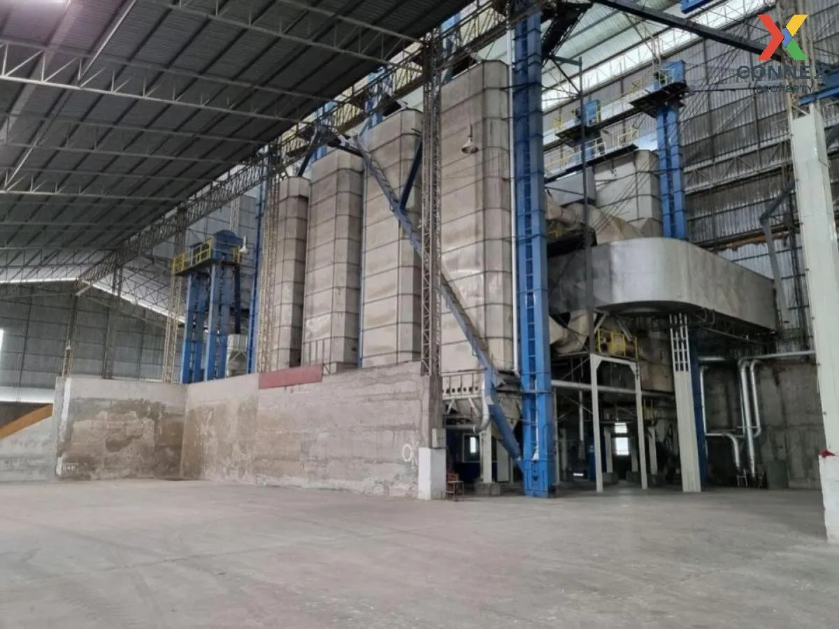 ขายโรงสีข้าว ขนาด 90 ไร่ หนองกระเจา ชุมแสง นครสวรรค์ CX-103558 ขายโรงสีข้าว ขนาด 90 ไร่ หนองกระเจา ชุมแสง นครสวรรค์ CX-103558