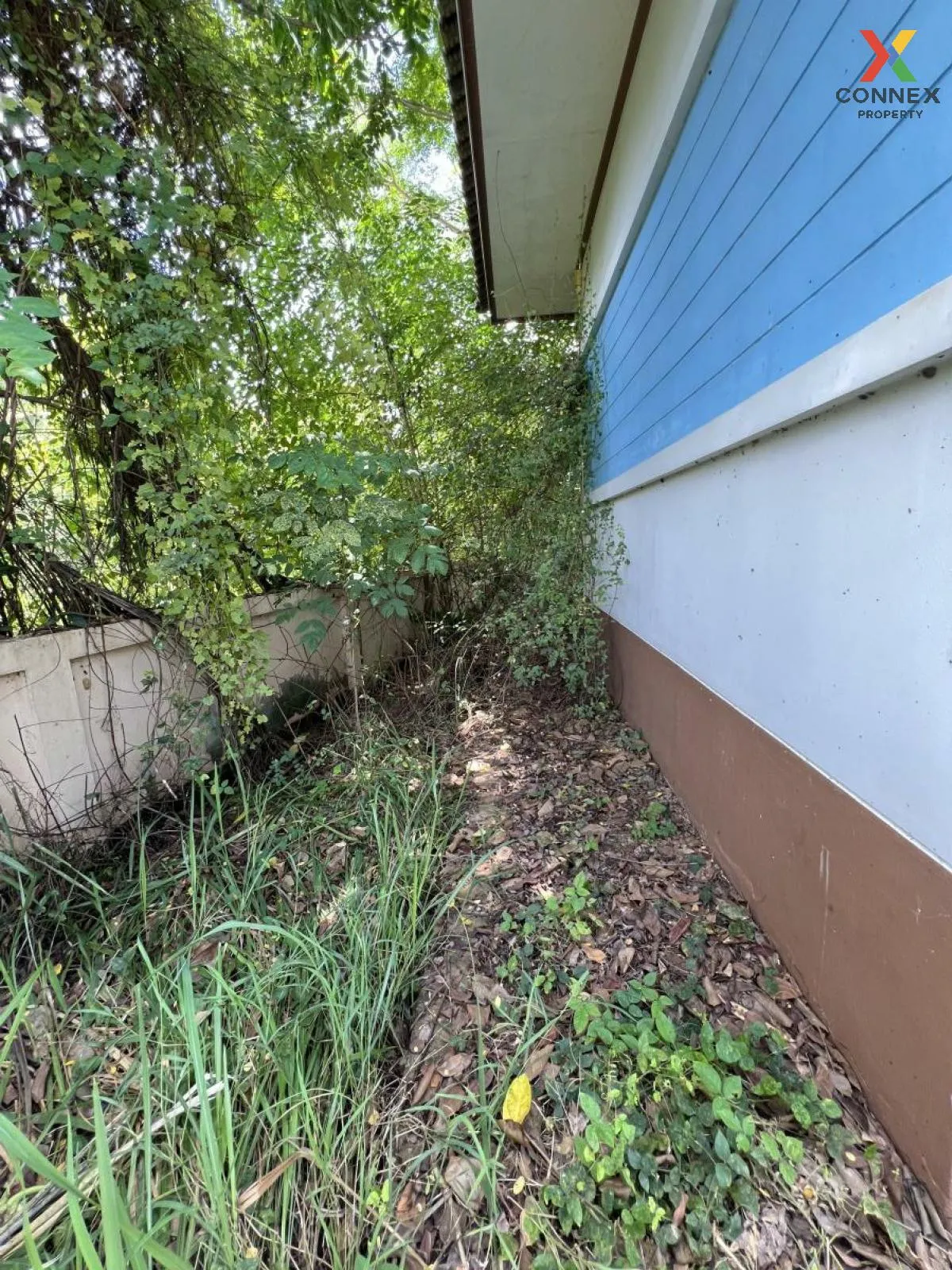 ขายบ้าน  หมู่บ้านสิริมงคล พิษณุโลก ดอนทอง เมืองพิษณุโลก พิษณุโลก  ขายบ้าน  หมู่บ้านสิริมงคล พิษณุโลก ดอนทอง เมืองพิษณุโลก พิษณุโลก