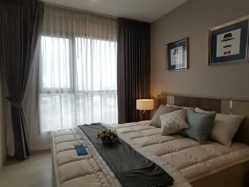 For Rent Condo , Life Sukhumvit 48 , BTS-Phra Khanong , Phra Khanong , Khlong Toei , Bangkok , CX-104818