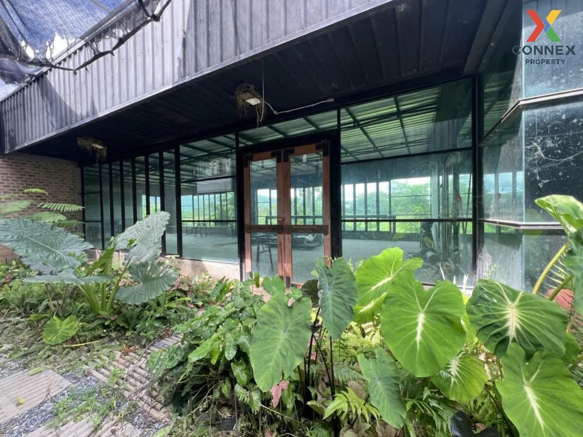 ขายที่ดินพร้อมสิ่งปลูกสร้าง วังทอง วังทอง พิษณุโลก CX-104821 ขายที่ดินพร้อมสิ่งปลูกสร้าง วังทอง วังทอง พิษณุโลก CX-104821