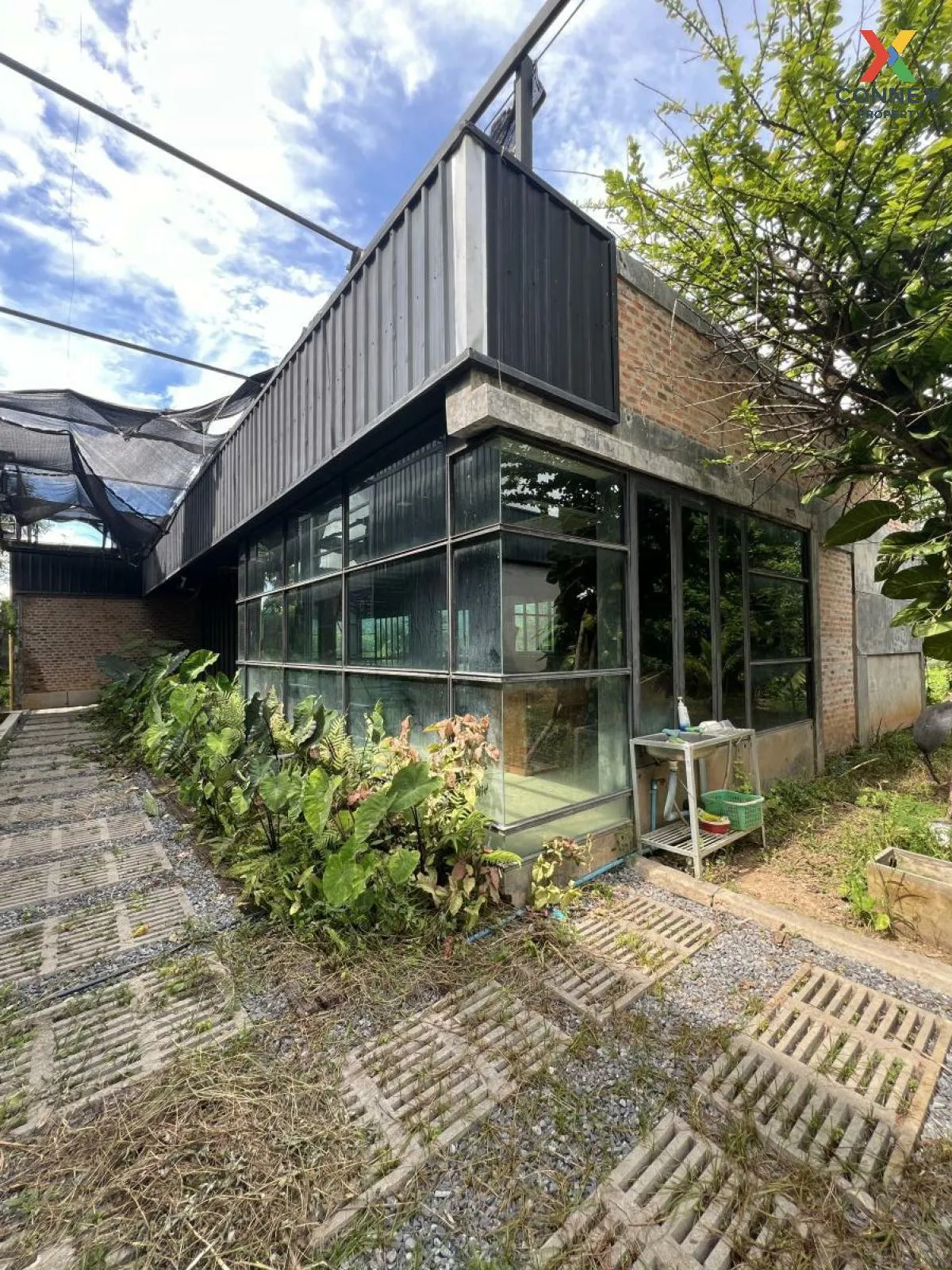 ขายที่ดินพร้อมสิ่งปลูกสร้าง วังทอง วังทอง พิษณุโลก CX-104821 ขายที่ดินพร้อมสิ่งปลูกสร้าง วังทอง วังทอง พิษณุโลก CX-104821