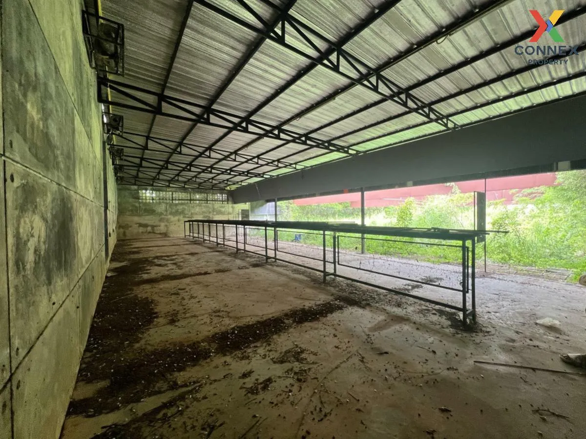 ขายที่ดินพร้อมสิ่งปลูกสร้าง วังทอง วังทอง พิษณุโลก CX-104821 ขายที่ดินพร้อมสิ่งปลูกสร้าง วังทอง วังทอง พิษณุโลก CX-104821