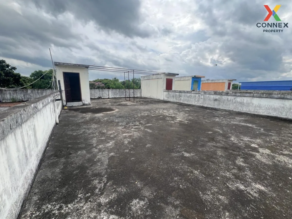 ขายอาคารพาณิชย์ วังทอง วังทอง พิษณุโลก CX-105311 ขายอาคารพาณิชย์ วังทอง วังทอง พิษณุโลก CX-105311