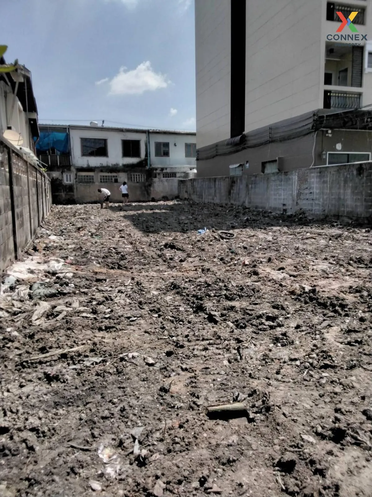 ขายที่ดินเปล่า ถนนเสนานิคม เสนางคนิคม เขต จตุจักร กรุงเทพ CX-1054