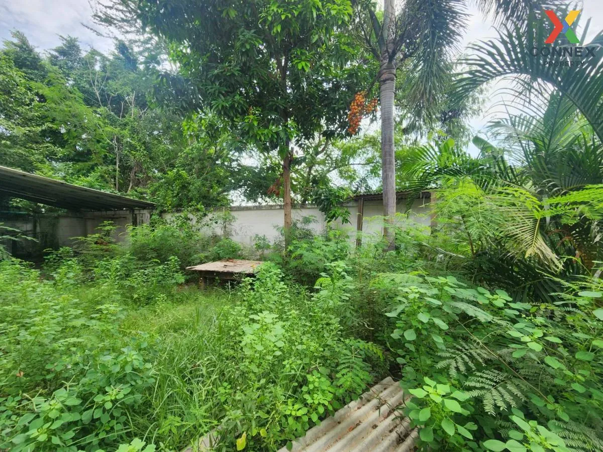 ขายทาวน์เฮ้าส์/ทาวน์โฮม  กู๊ดโฮม พานทอง ห้องมุม พานทอง พานทอง ชลบ