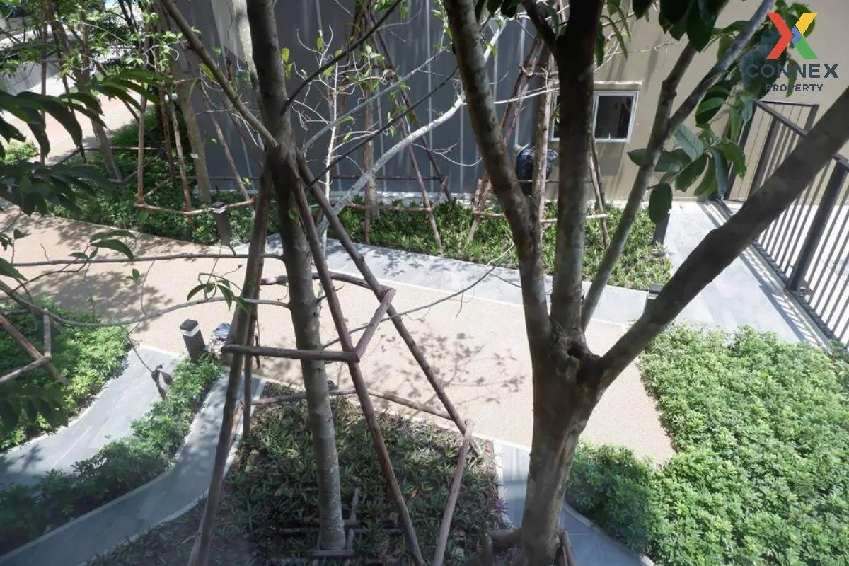 For Rent Condo , Plum Condo Rangsit Alive , Khlong Nueng , khlong