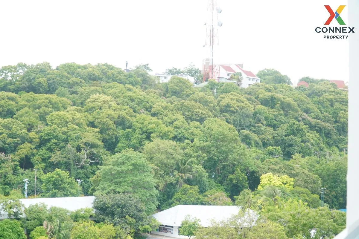 For Sale Condo , Amari Residences Pattaya ( sky residence ) , nic