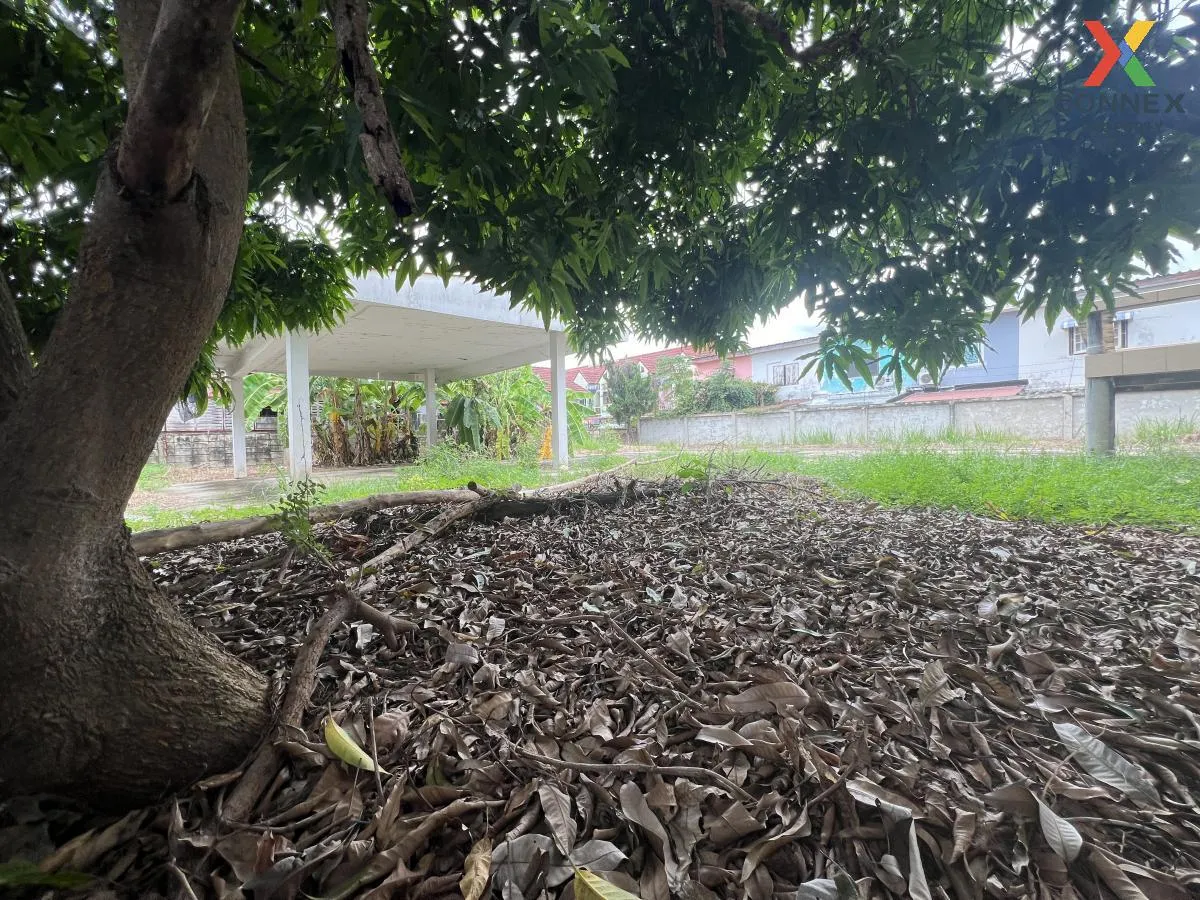 ขายบ้านเดี่ยว ในเมือง เมืองพิษณุโลก พิษณุโลก CX-106302