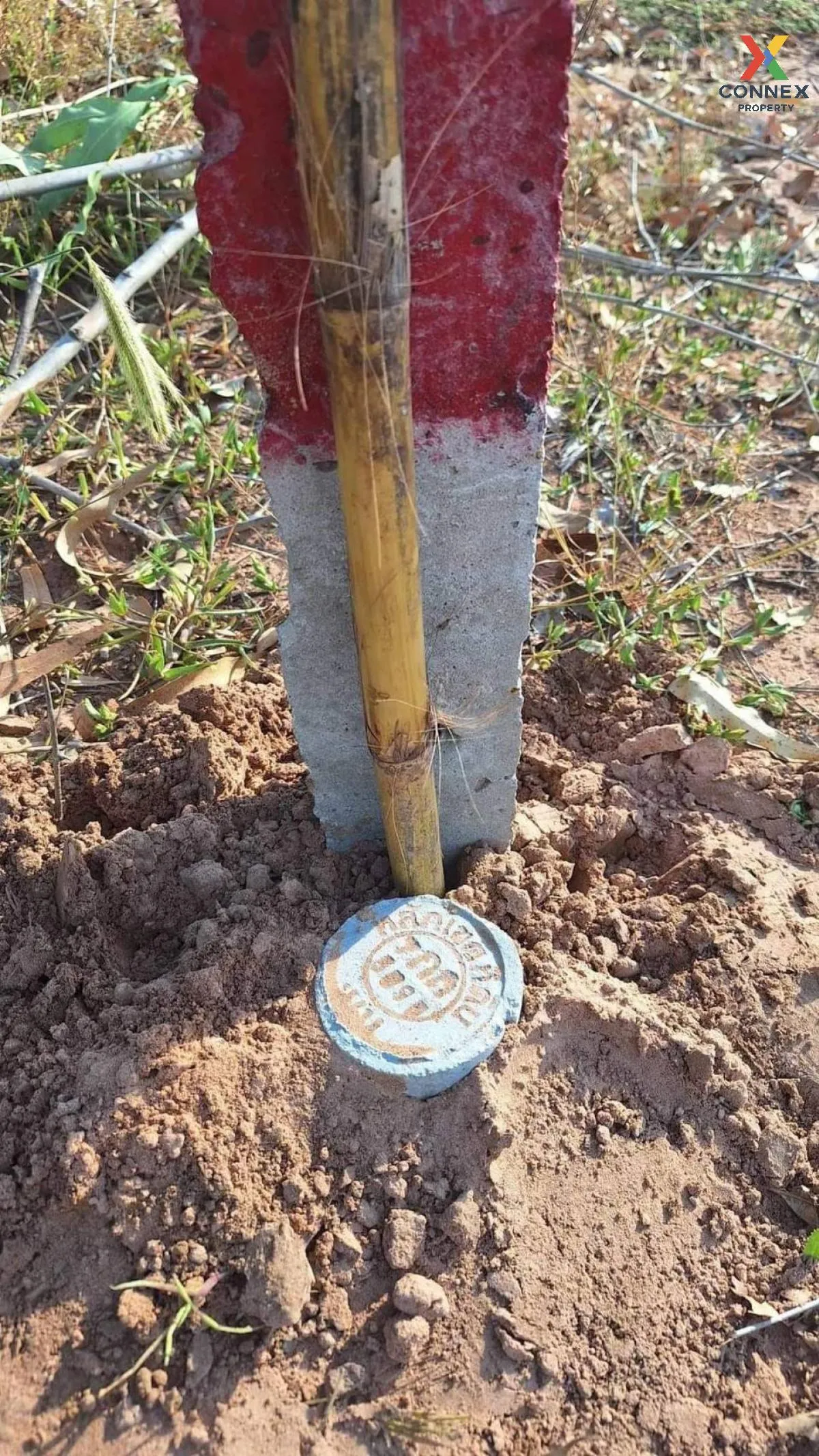 ขายที่ดินเปล่า นครราชสีมา หน้ากว้าง บ้านวัง โนนไทย นครราชสีมา CX-