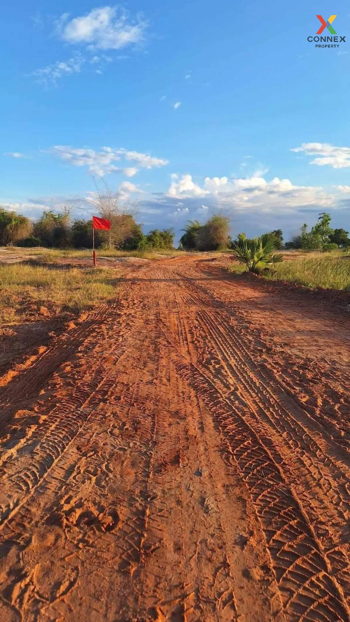 ขายที่ดินเปล่า นครราชสีมา หน้ากว้าง บ้านวัง โนนไทย นครราชสีมา CX-