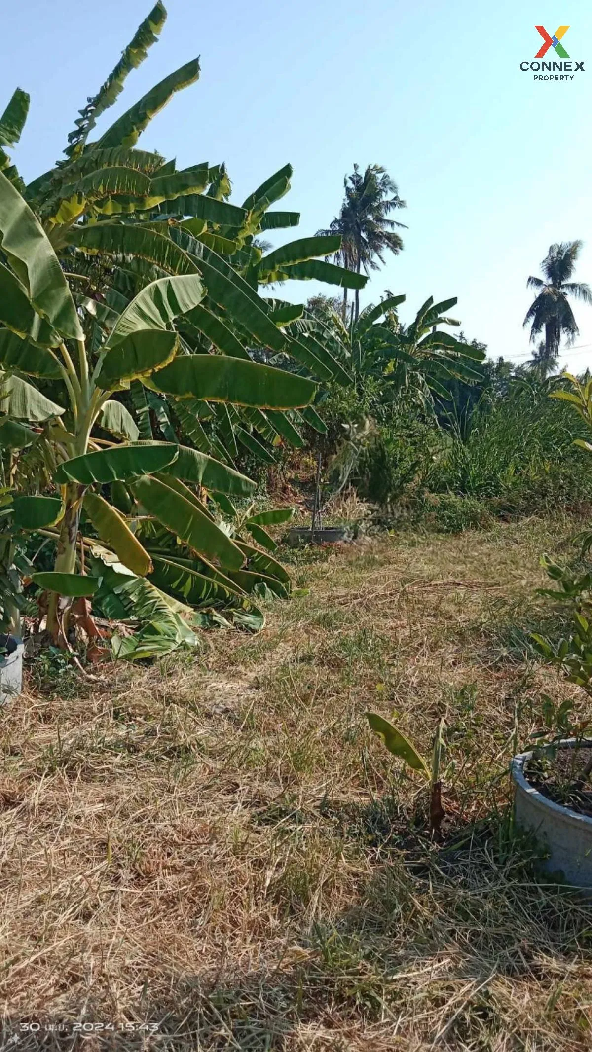 For Sale Bang Bon land 436 square wah 3 Soi Yaem Phaka 2 , Nong K 1