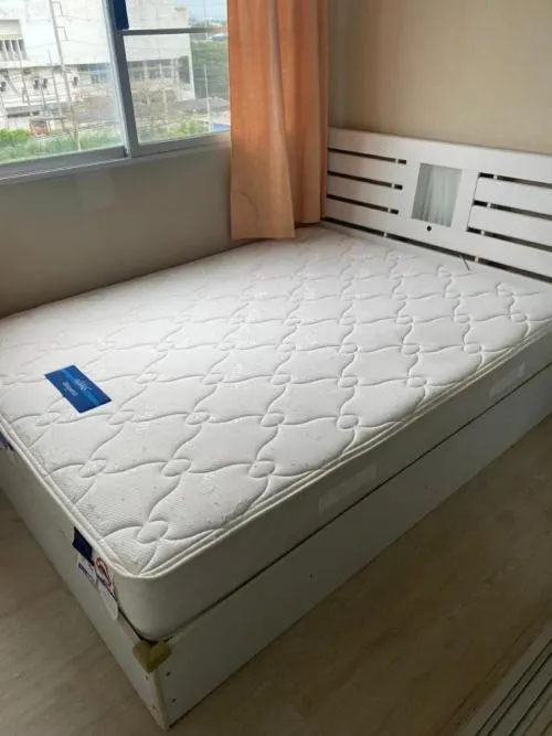 For Rent Condo , Plum Condo Park Rangsit  phase 1-3 , Khlong Nueng , khlong Luang , Pathum Thani , CX-106991 For Rent Condo , Plum Condo Park Rangsit  phase 1-3 , Khlong Nueng , khlong Luang , Pathum Thani , CX-106991