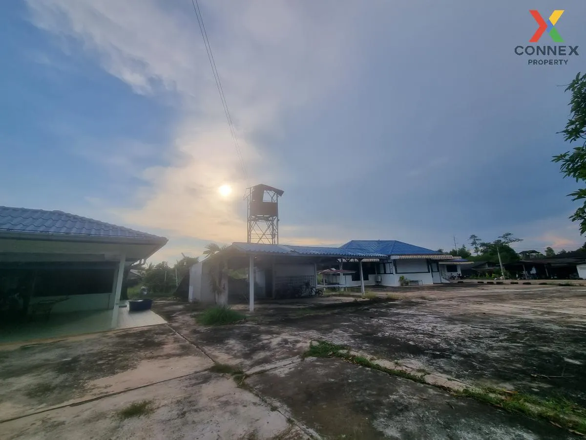 ขายที่ดินพร้อมสิ่งปลูกสร้างพนมสารคามฉะเชิงเทรา บ้านซ่อง พนมสารคาม ขายที่ดินพร้อมสิ่งปลูกสร้างพนมสารคามฉะเชิงเทรา บ้านซ่อง พนมสารคาม 3