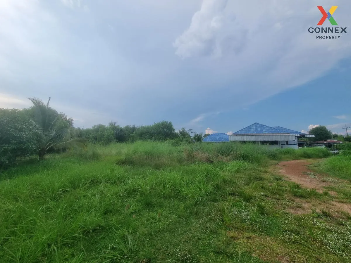 ขายที่ดินพร้อมสิ่งปลูกสร้างพนมสารคามฉะเชิงเทรา บ้านซ่อง พนมสารคาม ขายที่ดินพร้อมสิ่งปลูกสร้างพนมสารคามฉะเชิงเทรา บ้านซ่อง พนมสารคาม