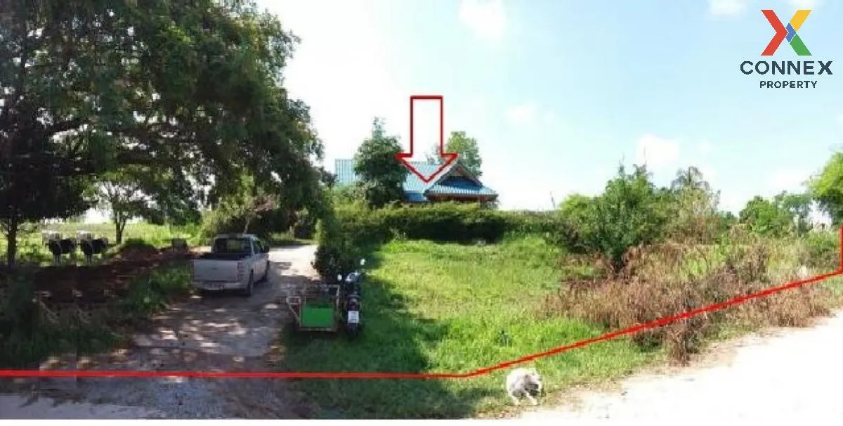 For Sale Single house Udon Thani , nice view , wide frontage , No For Sale Single house Udon Thani , nice view , wide frontage , No 3