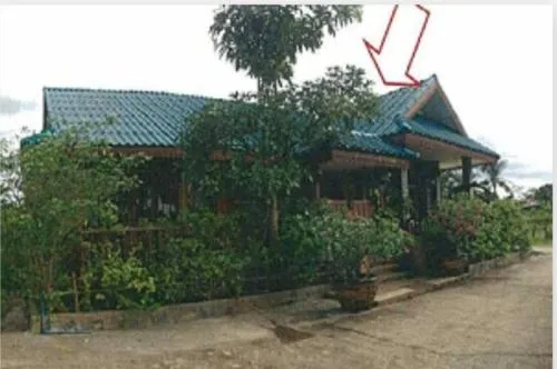 For Sale Single house Udon Thani , nice view , wide frontage , Nong O , Nong Wua So , Udon Thani , CX-107414 For Sale Single house Udon Thani , nice view , wide frontage , Nong O , Nong Wua So , Udon Thani , CX-107414