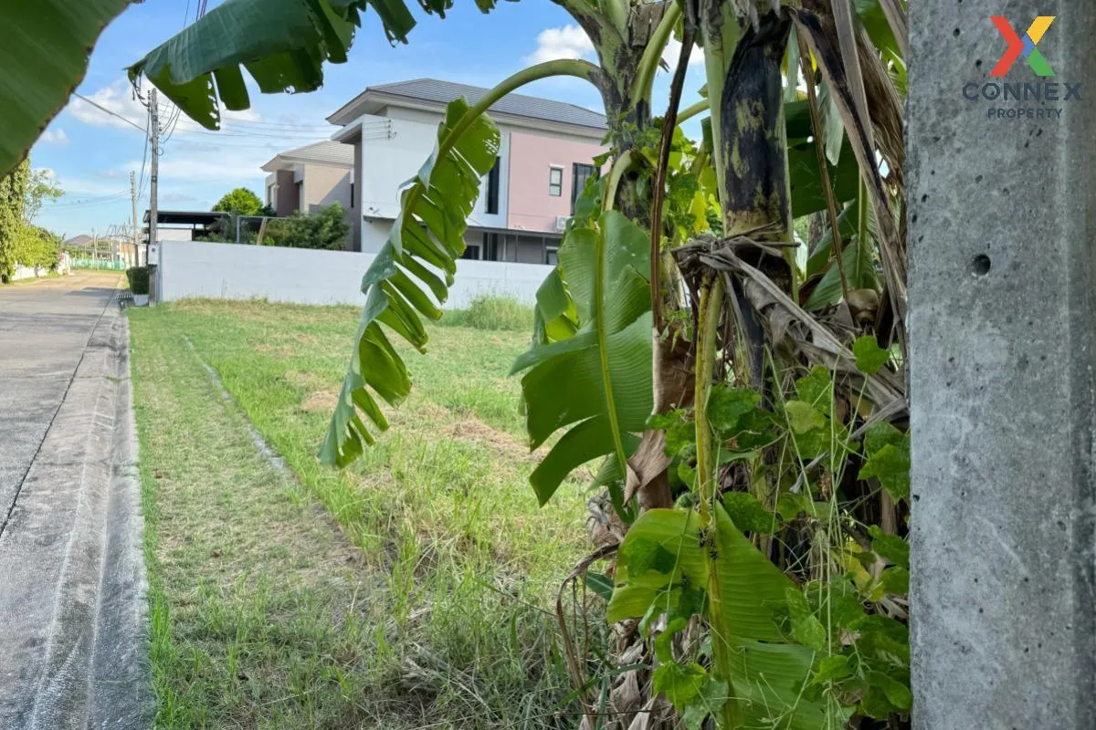 ขายที่ดินเปล่า  บ้าน สีวลี รังสิต 2 คูคต ลำลูกกา ปทุมธานี CX-1075 ขายที่ดินเปล่า  บ้าน สีวลี รังสิต 2 คูคต ลำลูกกา ปทุมธานี CX-1075 2