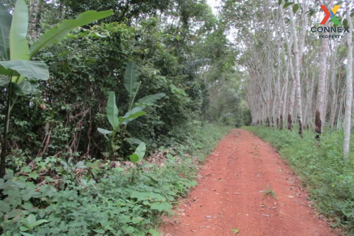 For Sale Vacant land Surat Thani , Nam Hak , Khiri Rat Nikhom , S 1