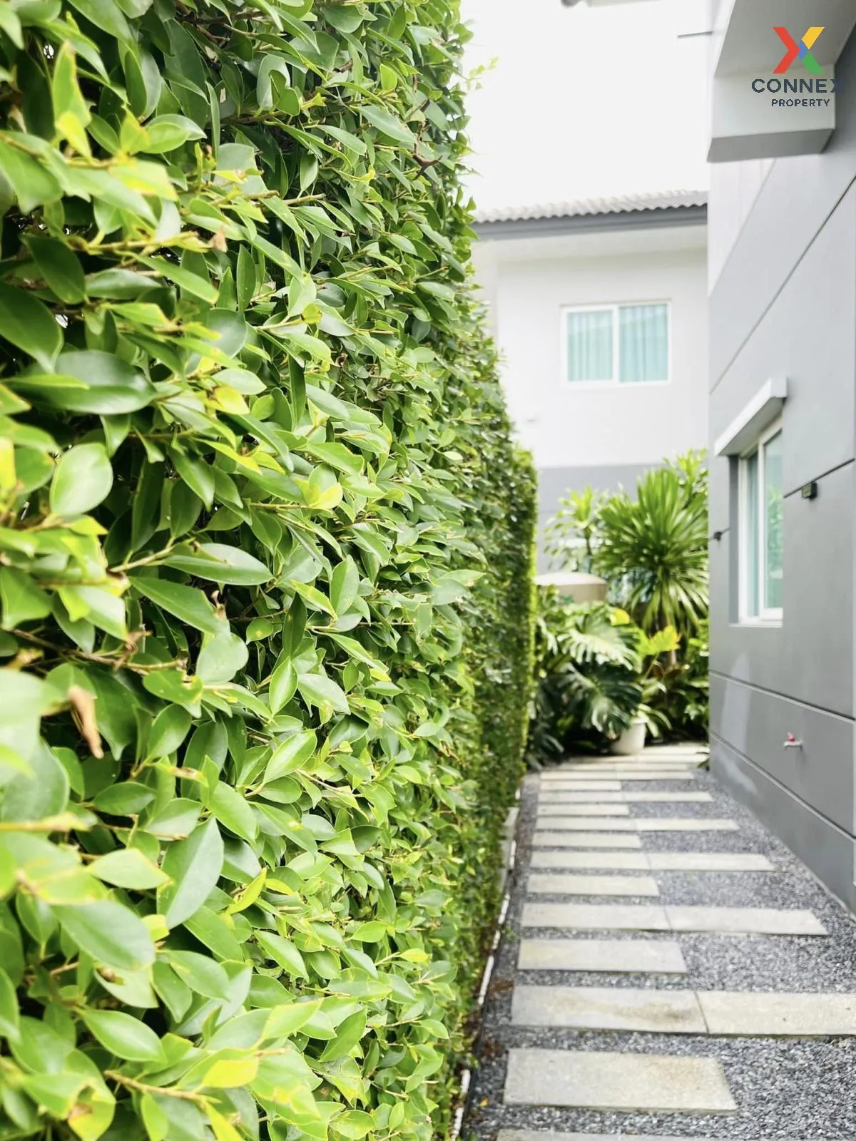 For Rent House , CENTRO Rama 9 - Krungthep Kreetha , Khlong Song 