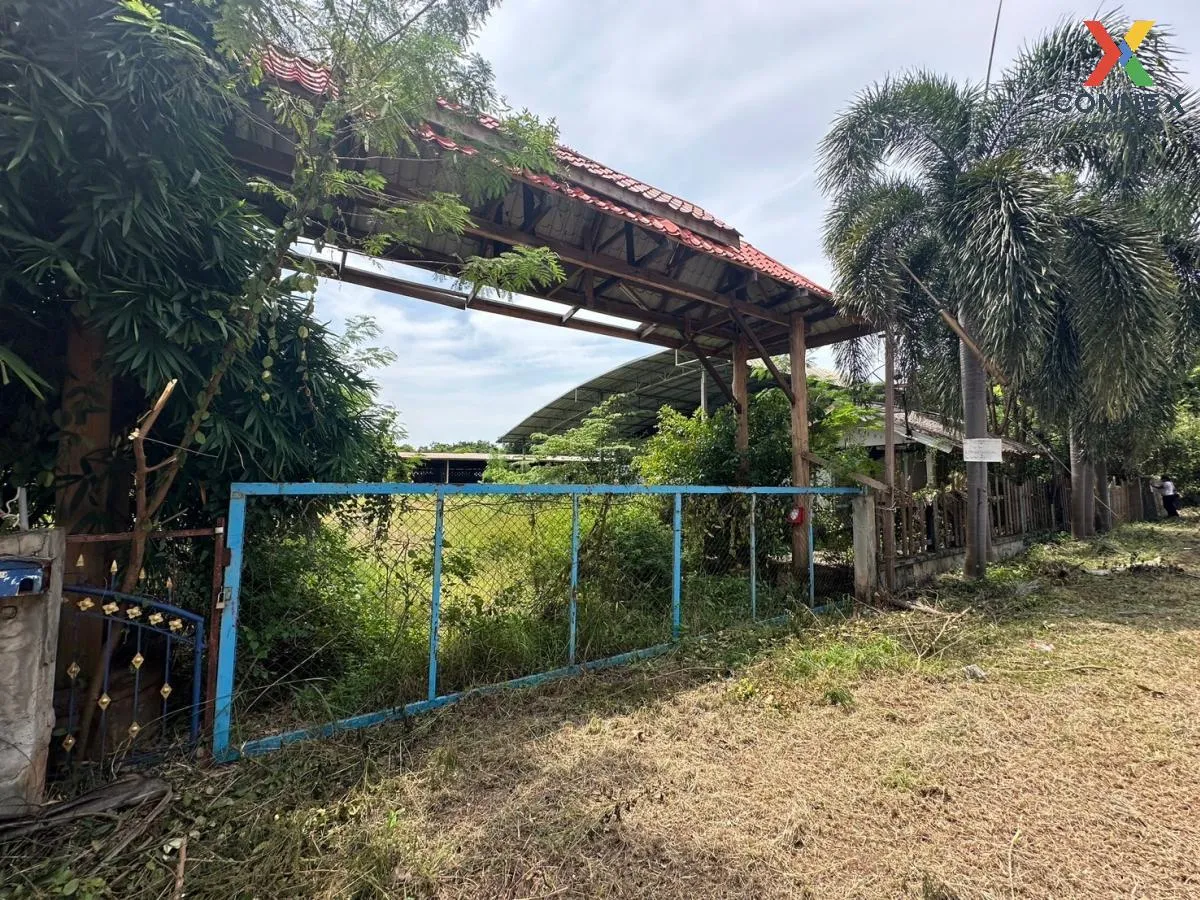 ขายบ้านพร้อมกิจการ หนองคาย ค่ายบกหวาน เมืองหนองคาย หนองคาย CX-107 ขายบ้านพร้อมกิจการ หนองคาย ค่ายบกหวาน เมืองหนองคาย หนองคาย CX-107 1