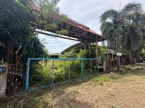 ขายบ้านพร้อมกิจการ หนองคาย ค่ายบกหวาน เมืองหนองคาย หนองคาย CX-107816