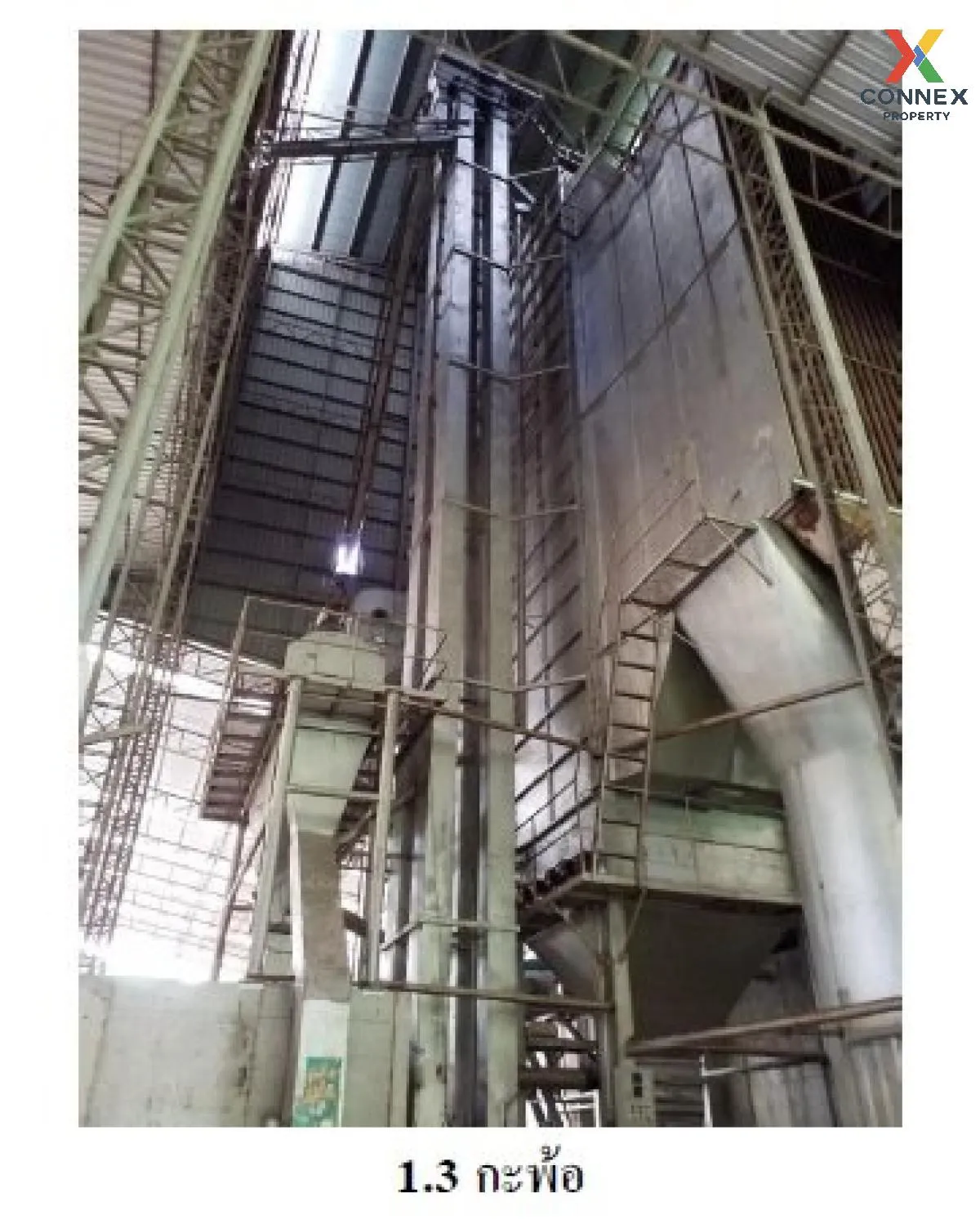 ขายโรงงาน อ.เชียงคาน วิวสวย หน้ากว้าง นาซ่าว เชียงคาน เลย CX-1082 ขายโรงงาน อ.เชียงคาน วิวสวย หน้ากว้าง นาซ่าว เชียงคาน เลย CX-1082