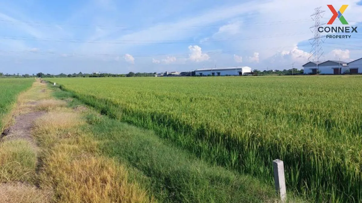 ขายที่ดินแบ่งขาย อ.ไทรน้อย ใกล้ถนนใหญ่ 150 เมตร  ราษฎร์นิยม ไทรน้ ขายที่ดินแบ่งขาย อ.ไทรน้อย ใกล้ถนนใหญ่ 150 เมตร  ราษฎร์นิยม ไทรน้ 1