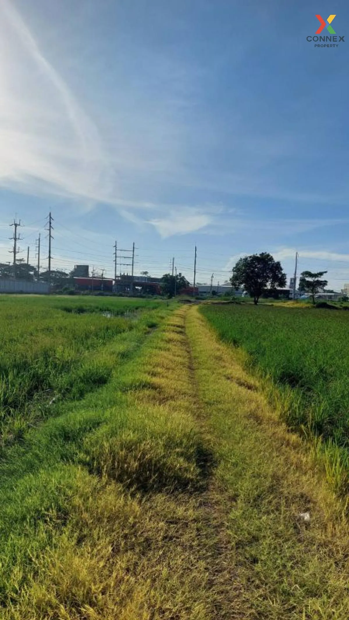 ขายที่ดินแบ่งขาย อ.ไทรน้อย ใกล้ถนนใหญ่ 150 เมตร  ราษฎร์นิยม ไทรน้ ขายที่ดินแบ่งขาย อ.ไทรน้อย ใกล้ถนนใหญ่ 150 เมตร  ราษฎร์นิยม ไทรน้ 3