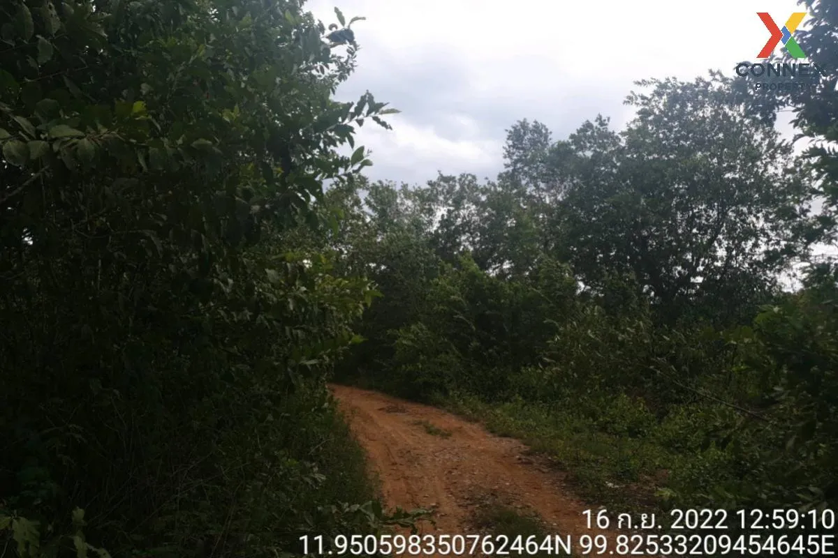 For Sale Vacant land, Prachuap Khiri Khan Province, 1 plot , Bo N 1