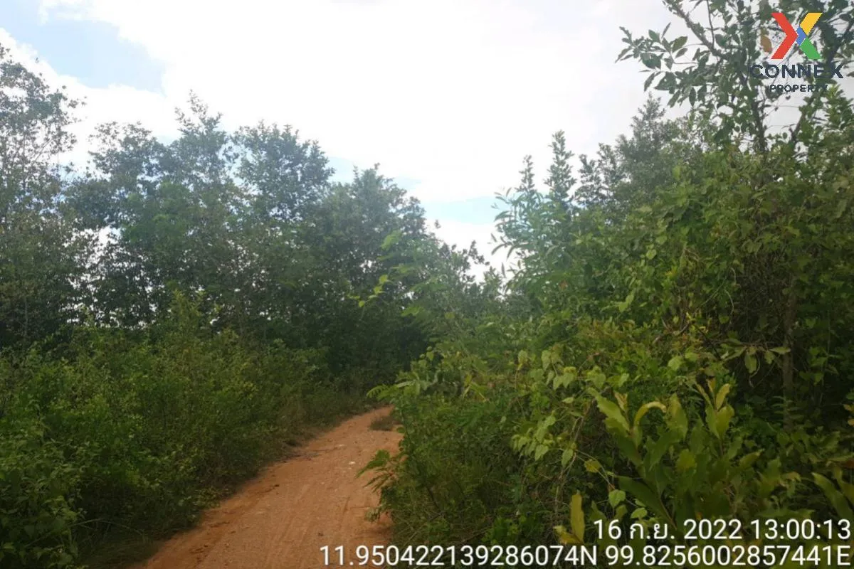 For Sale Vacant land, Prachuap Khiri Khan Province, 1 plot , Bo N 2