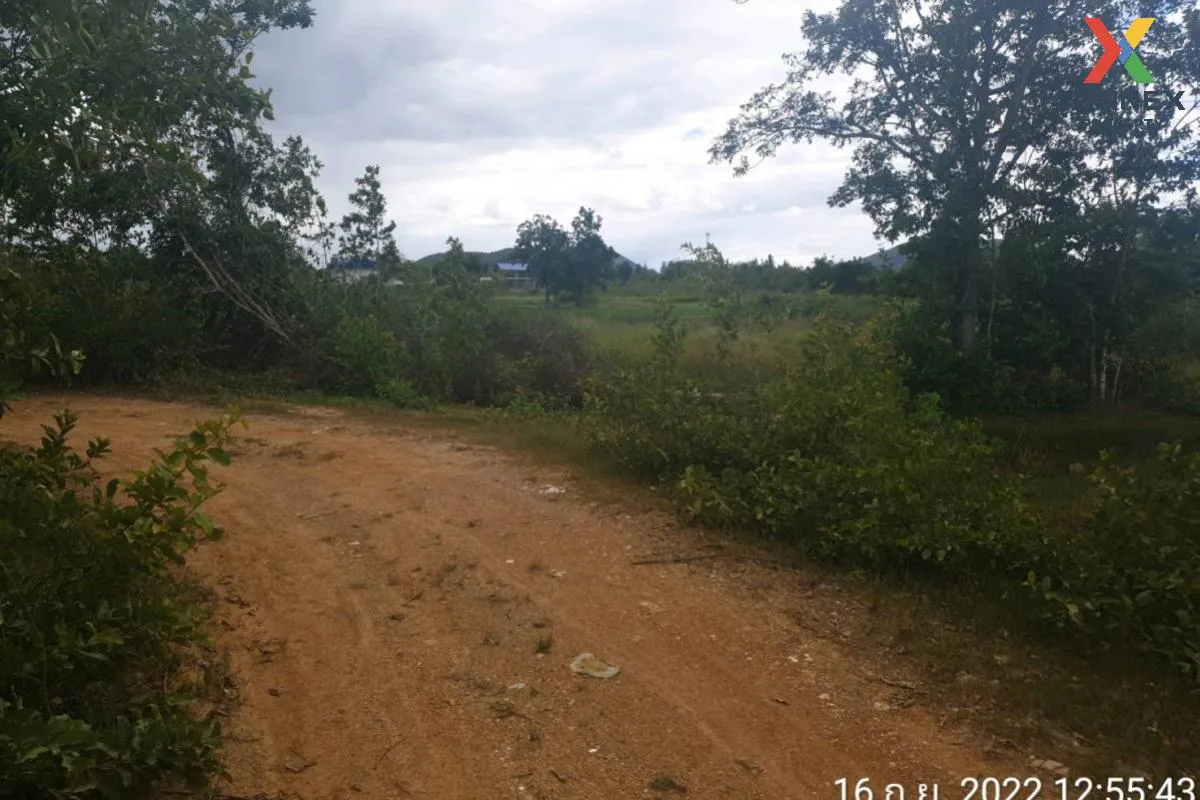 For Sale Vacant land, Prachuap Khiri Khan Province, 1 plot , Bo N 3