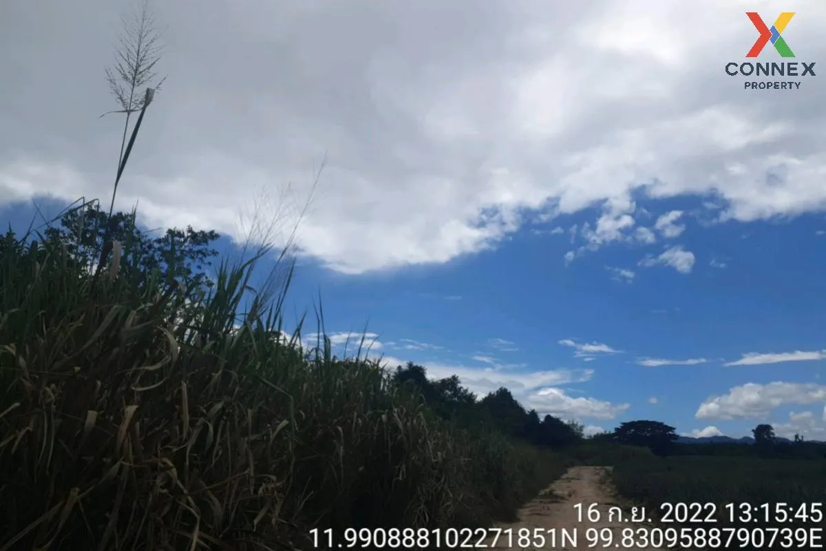 For Sale 2 plots of vacant land in Prachuap Khiri Khan Province , 1