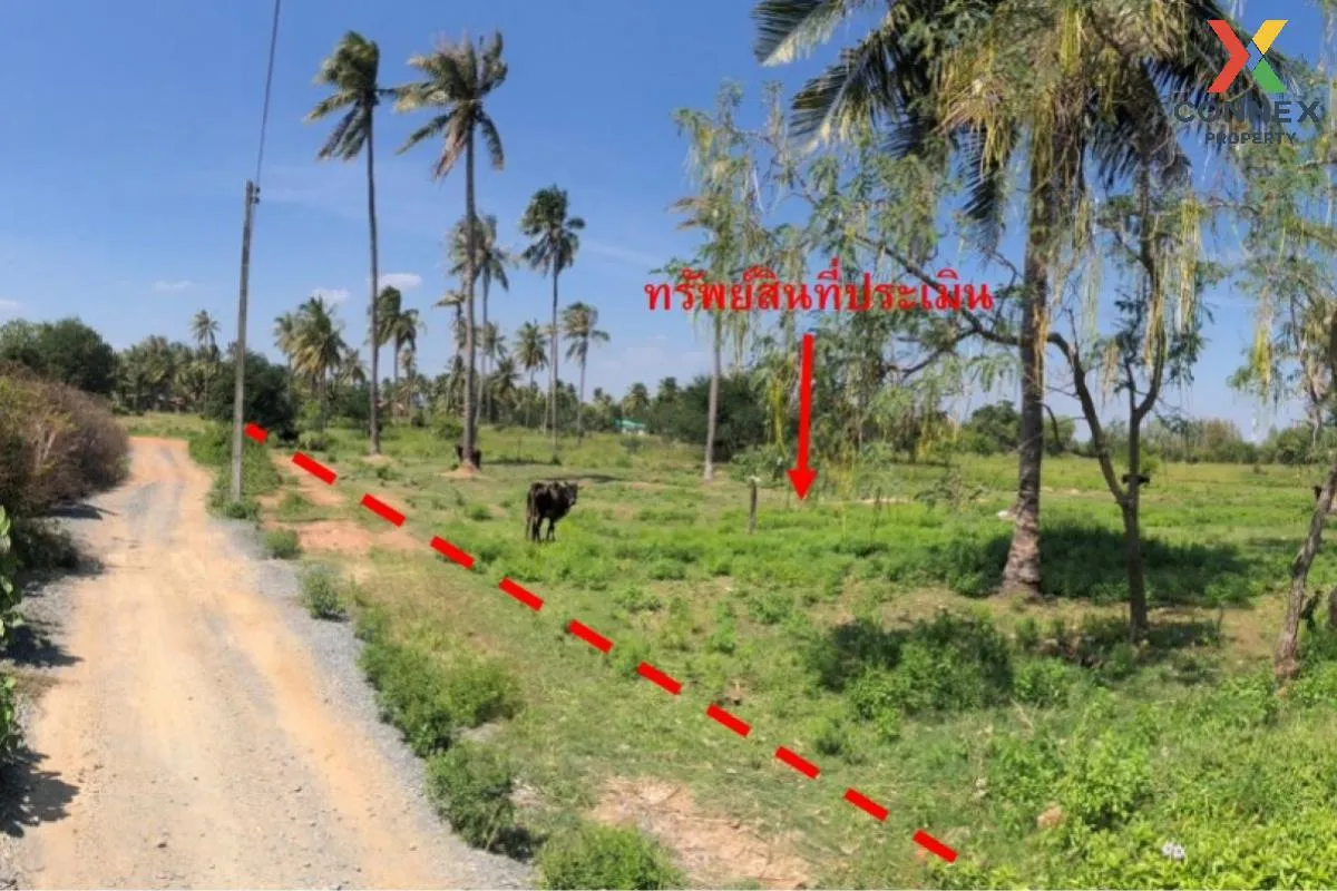 For Sale Vacant land on Phetkasem Road, Bon Nok Subdistrict , Bo  1
