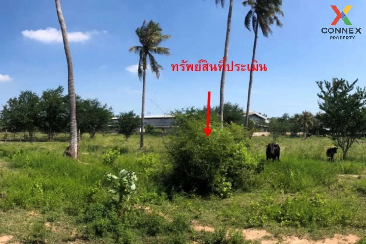 For Sale Vacant land on Phetkasem Road, Bon Nok Subdistrict , Bo  3