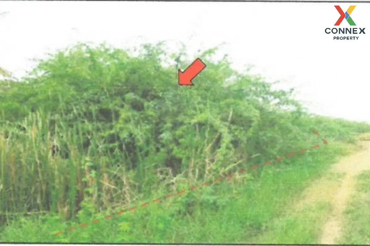 For Sale Vacant land Petch Muang Mai Beach Project Plot 3 , Puek  4