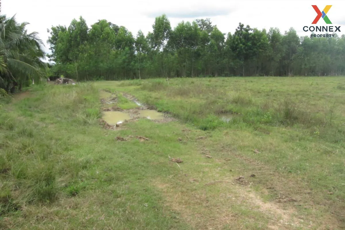 For Sale Empty land (Ban Non, Nong Yai) , Phak Kha , Watthana Nak 2