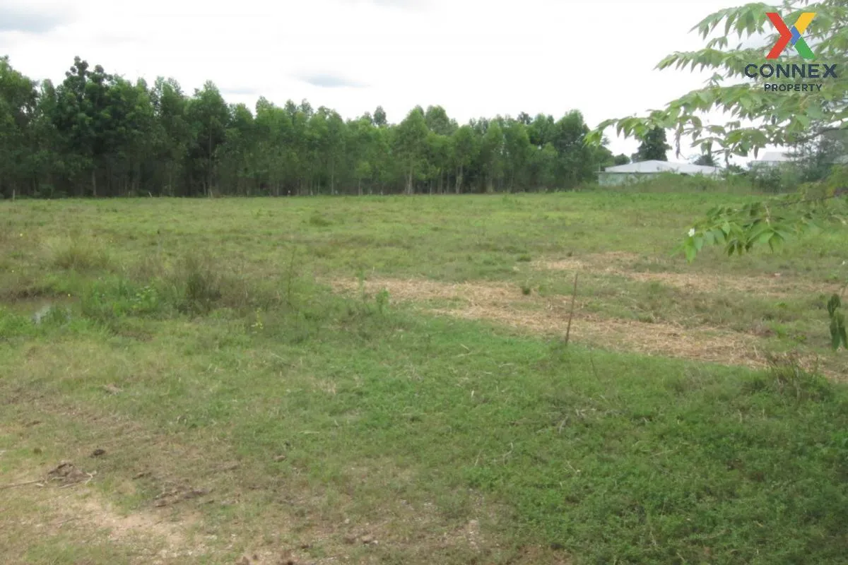 For Sale Empty land (Ban Non, Nong Yai) , Phak Kha , Watthana Nak 3