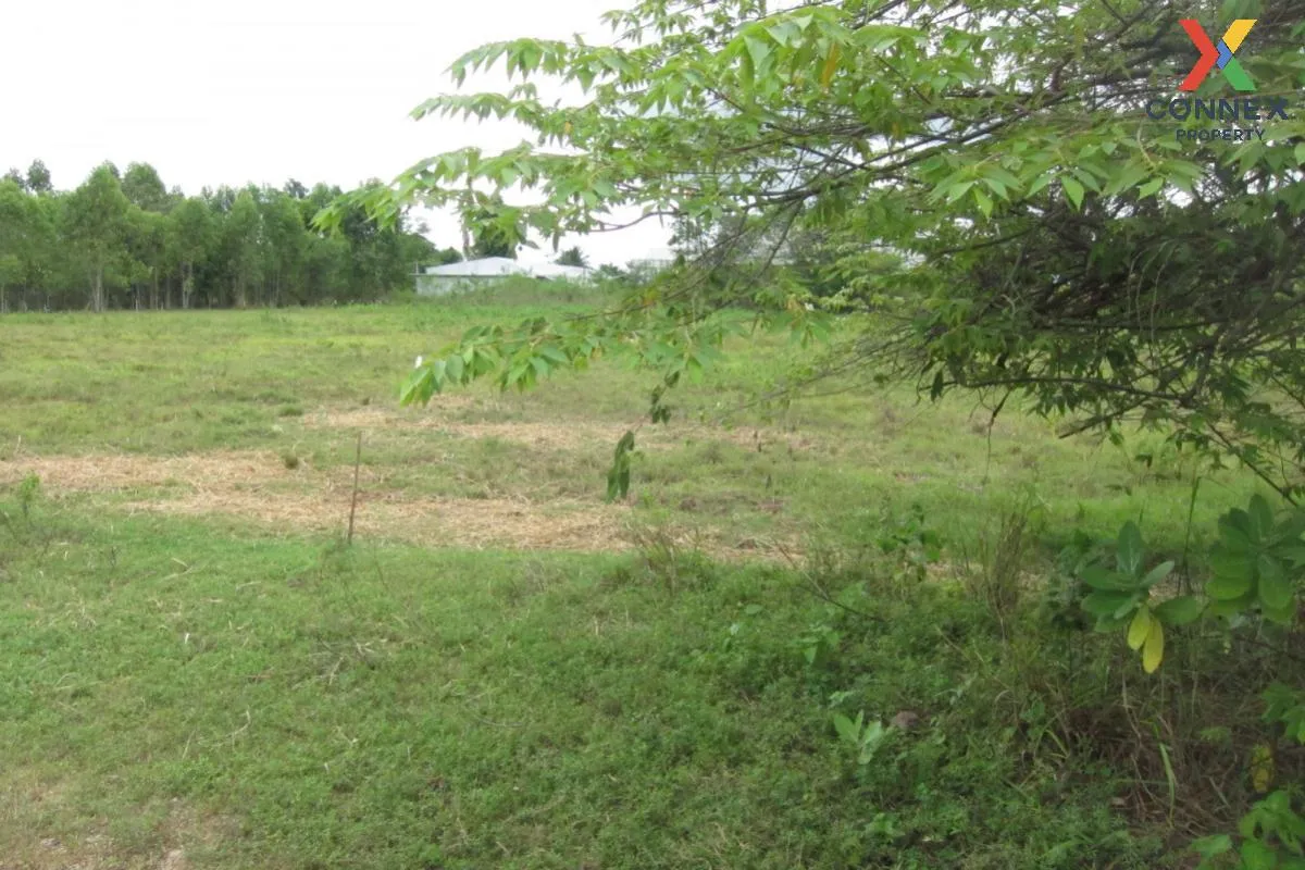 For Sale Empty land (Ban Non, Nong Yai) , Phak Kha , Watthana Nak 4
