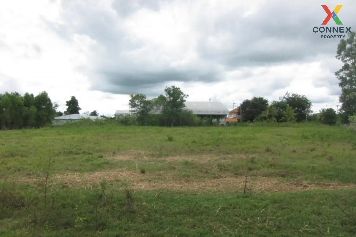 For Sale Empty land (Ban Non, Nong Yai) , Phak Kha , Watthana Nak