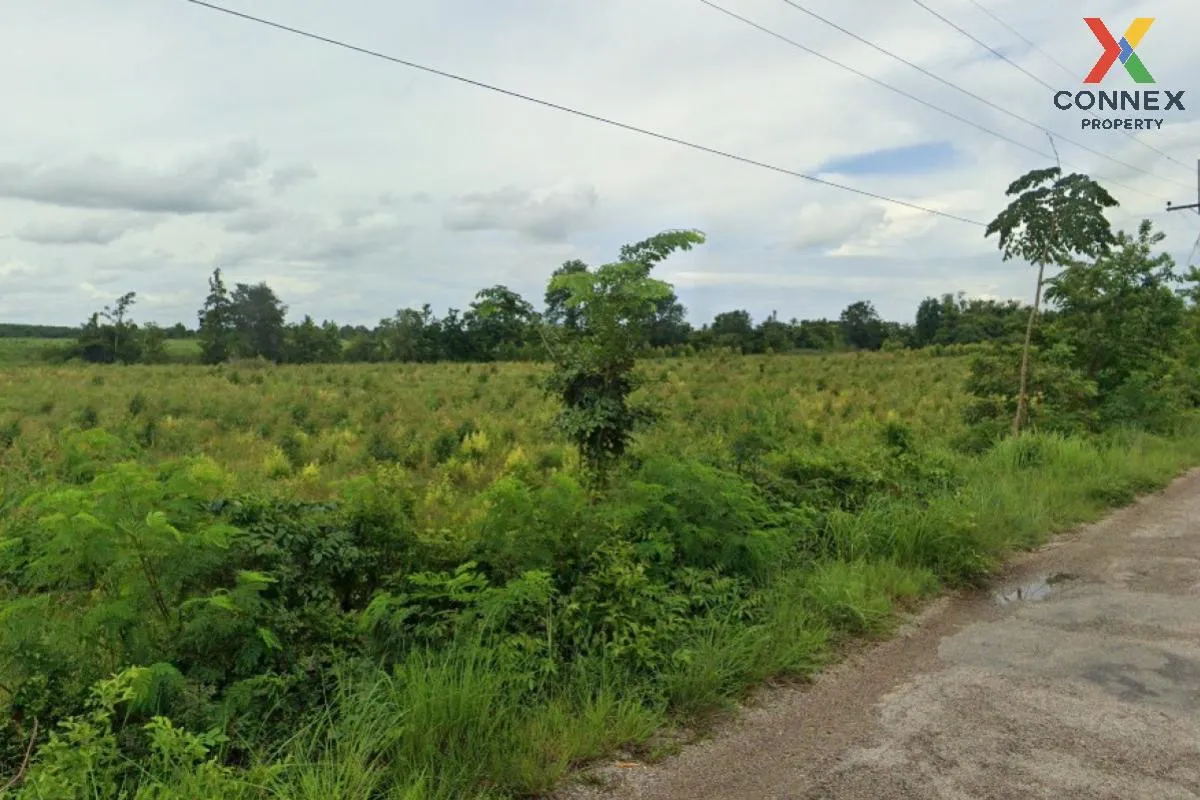 For Sale Empty land, Ban Non-Nong Yai (SorKor.4012) , Phak Kha ,  1