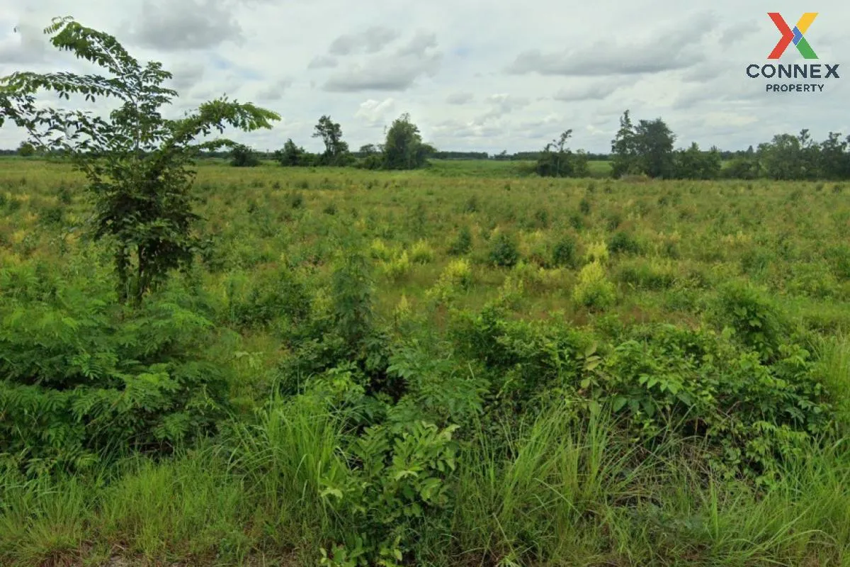 For Sale Empty land, Ban Non-Nong Yai (SorKor.4012) , Phak Kha ,  2