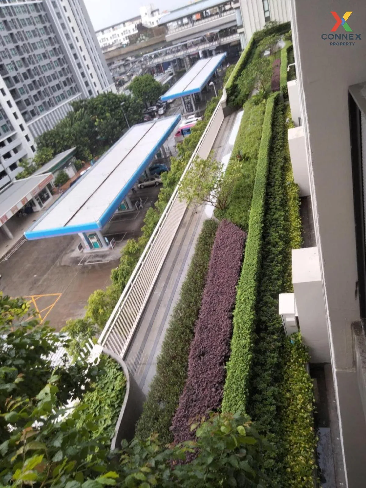 For Sale Condo , The Base Saphanmai , BTS-Sai Yud , Anusawari , B For Sale Condo , The Base Saphanmai , BTS-Sai Yud , Anusawari , B