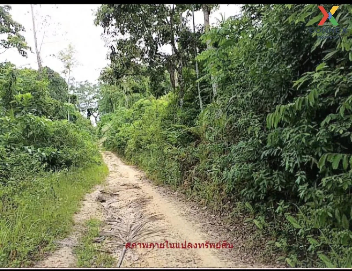 For Sale Land for Sale ,Samui,Suratthani , Ang Thong , Ko Samui , 4