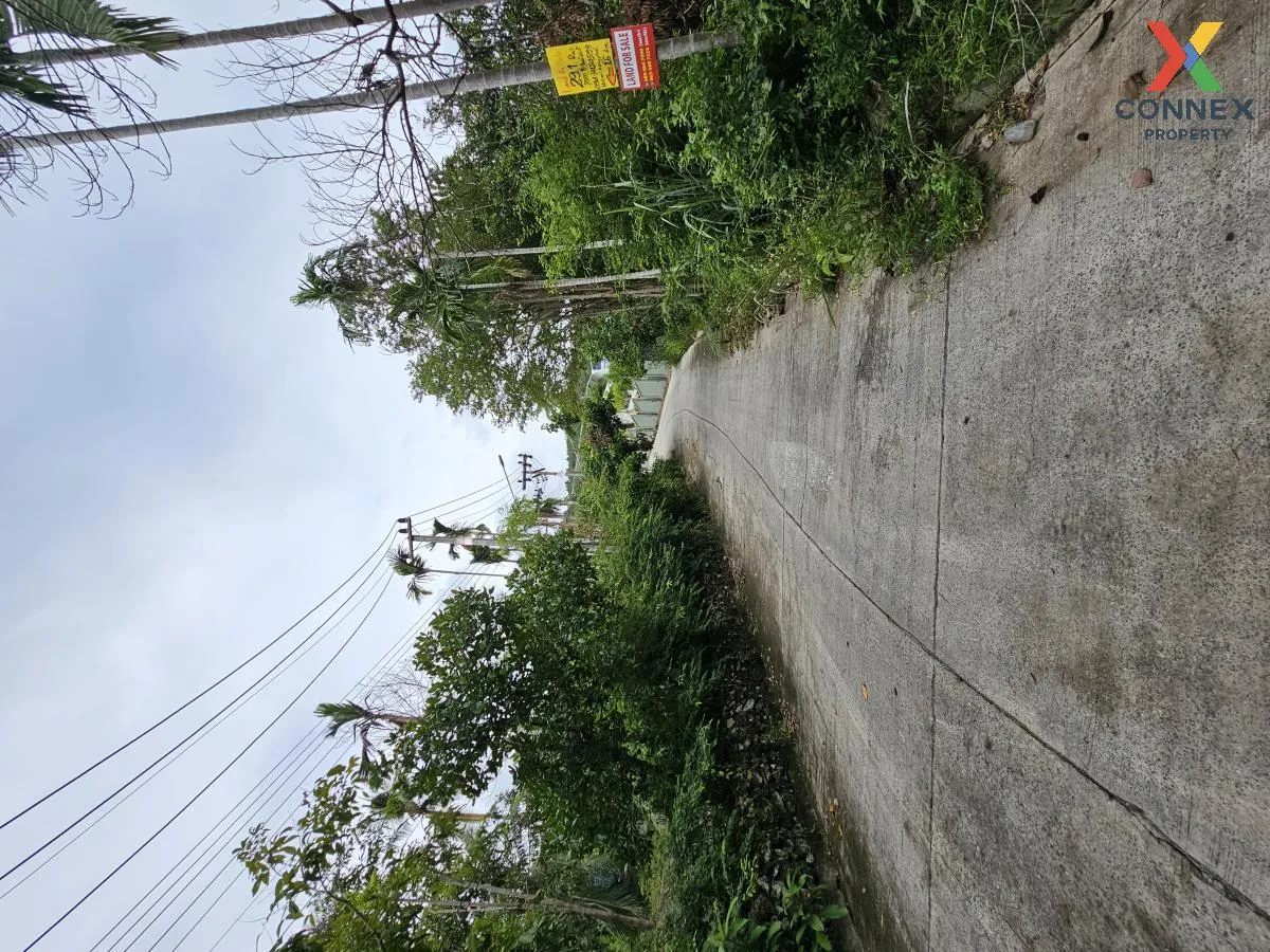 For Sale Land for Sale ,Samui,Suratthani , Ang Thong , Ko Samui , 3