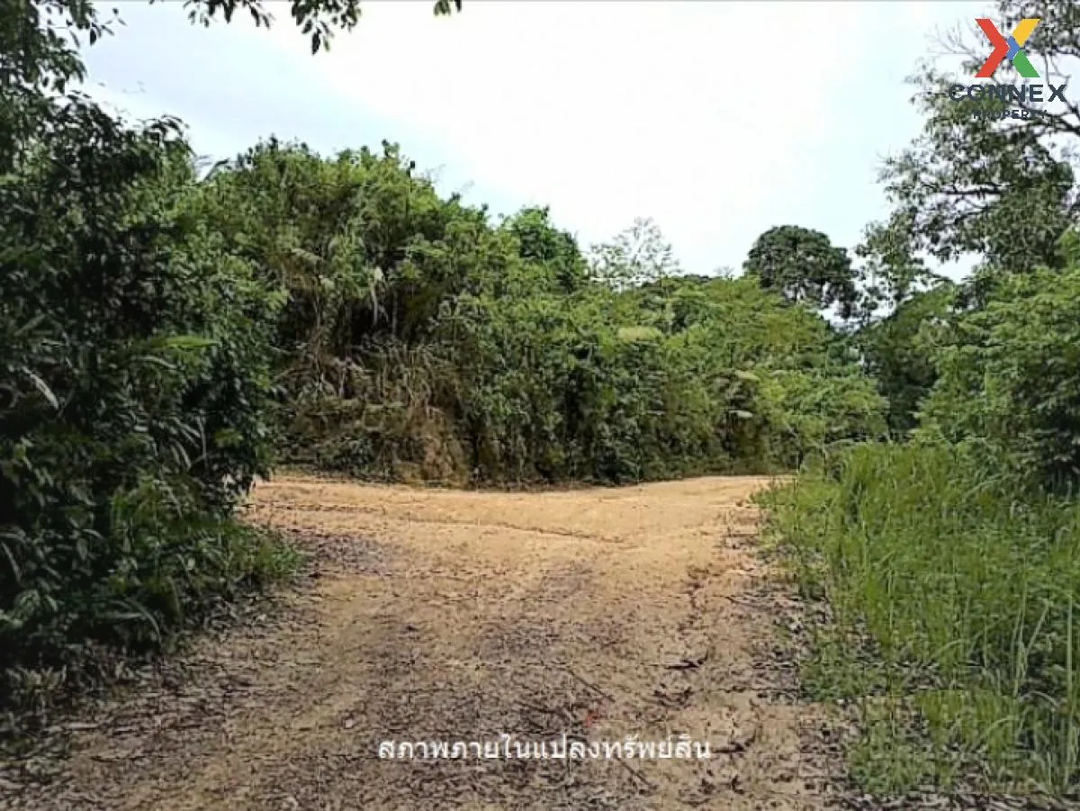 For Sale Land for Sale ,Samui,Suratthani , Ang Thong , Ko Samui ,