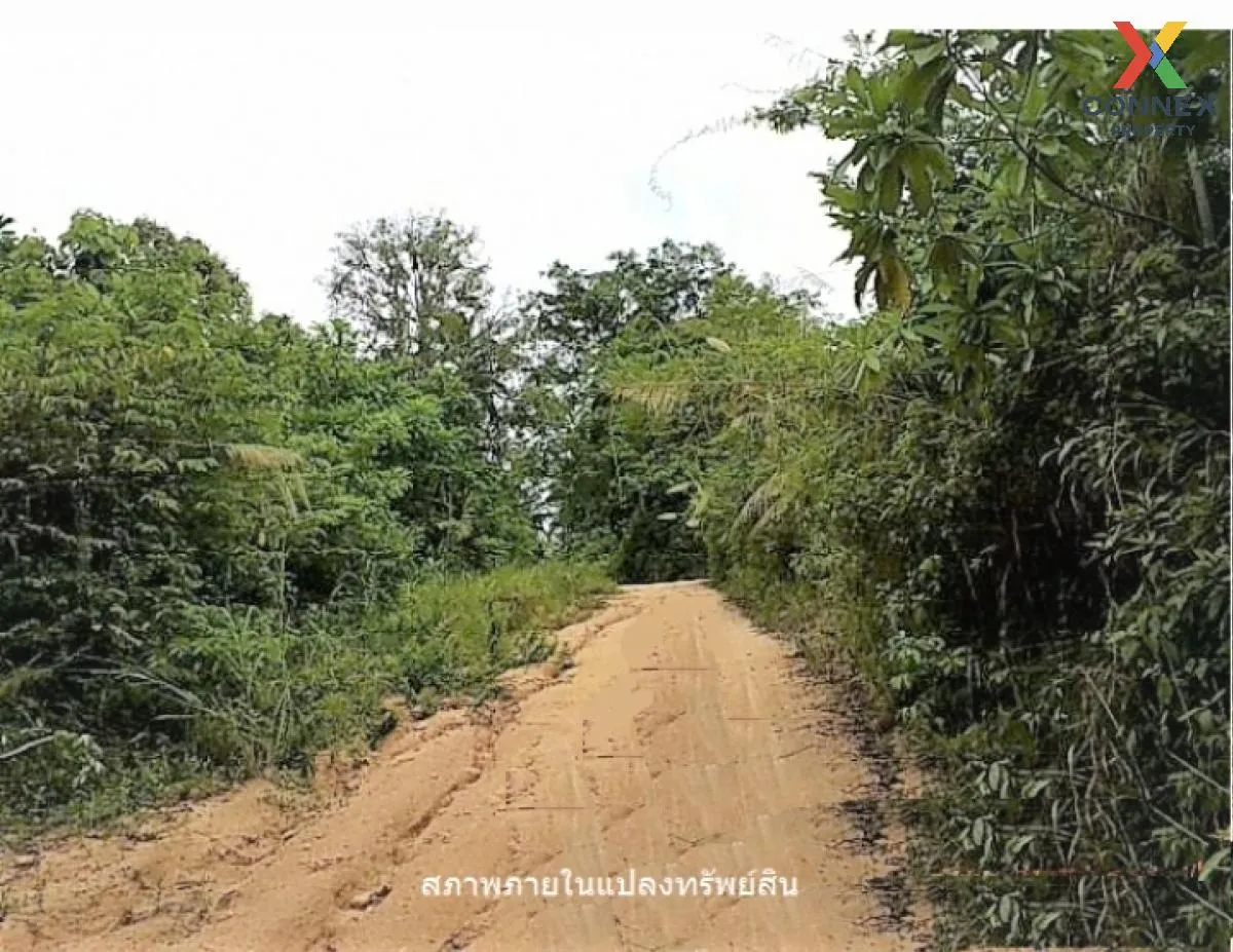 For Sale Land for Sale ,Samui,Suratthani , Ang Thong , Ko Samui ,