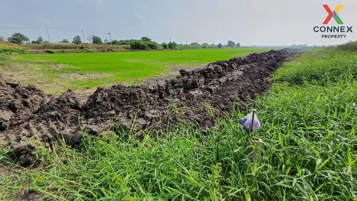 For Sale Land area 50 rai 3 ngan 79 sq m  next to Khumklao Road , 1