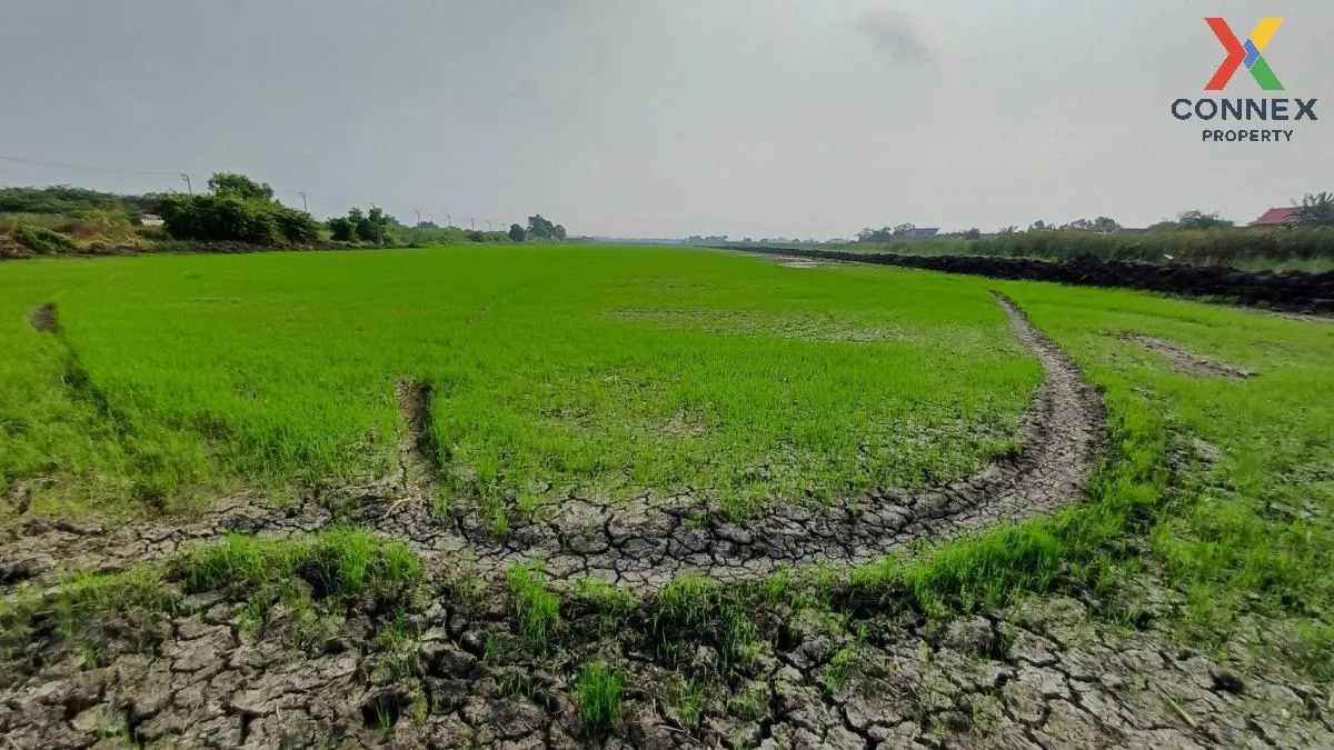 For Sale Land area 50 rai 3 ngan 79 sq m  next to Khumklao Road , 2