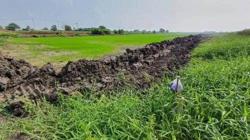 For Sale Land area 50 rai 3 ngan 79 sq m  next to Khumklao Road , Lam Pla Thiw , Lat Krabang , Bangkok , CX-109381